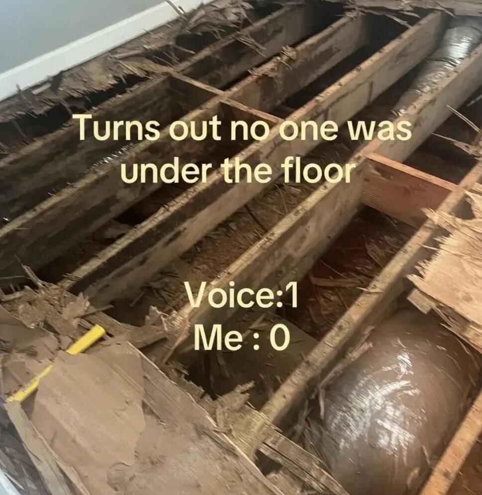 voice.jpg