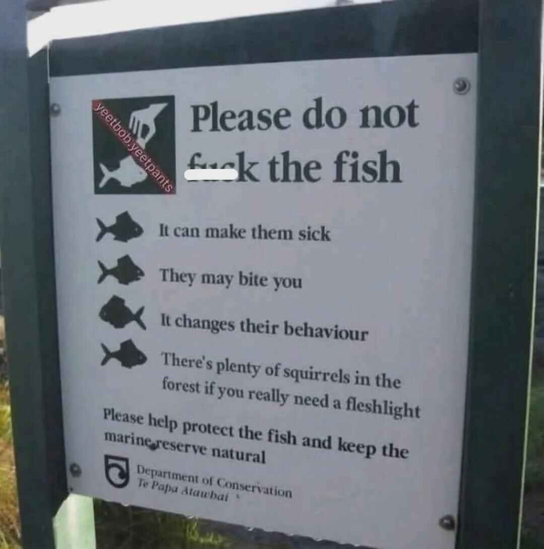 fish.jpg