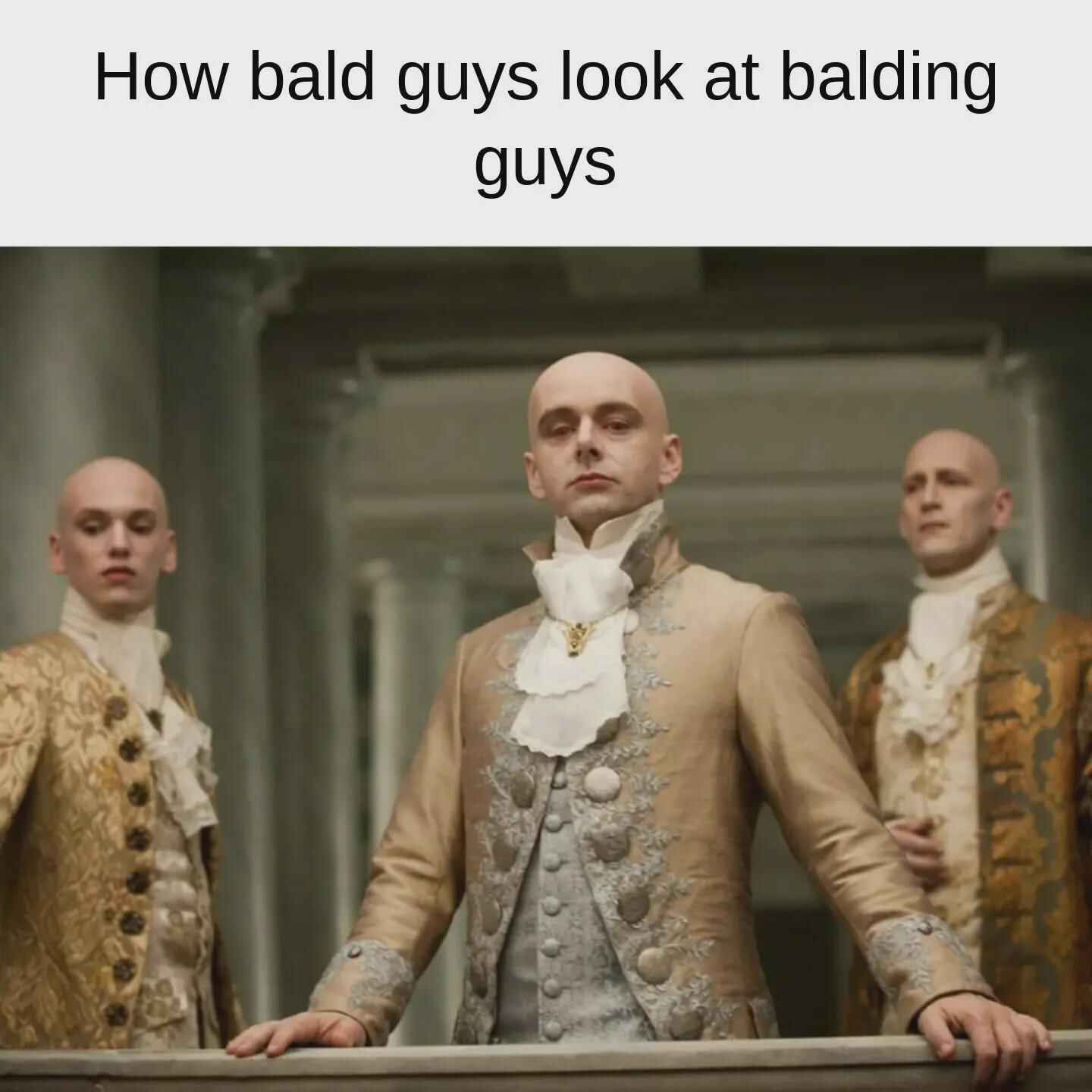 bald.jpg
