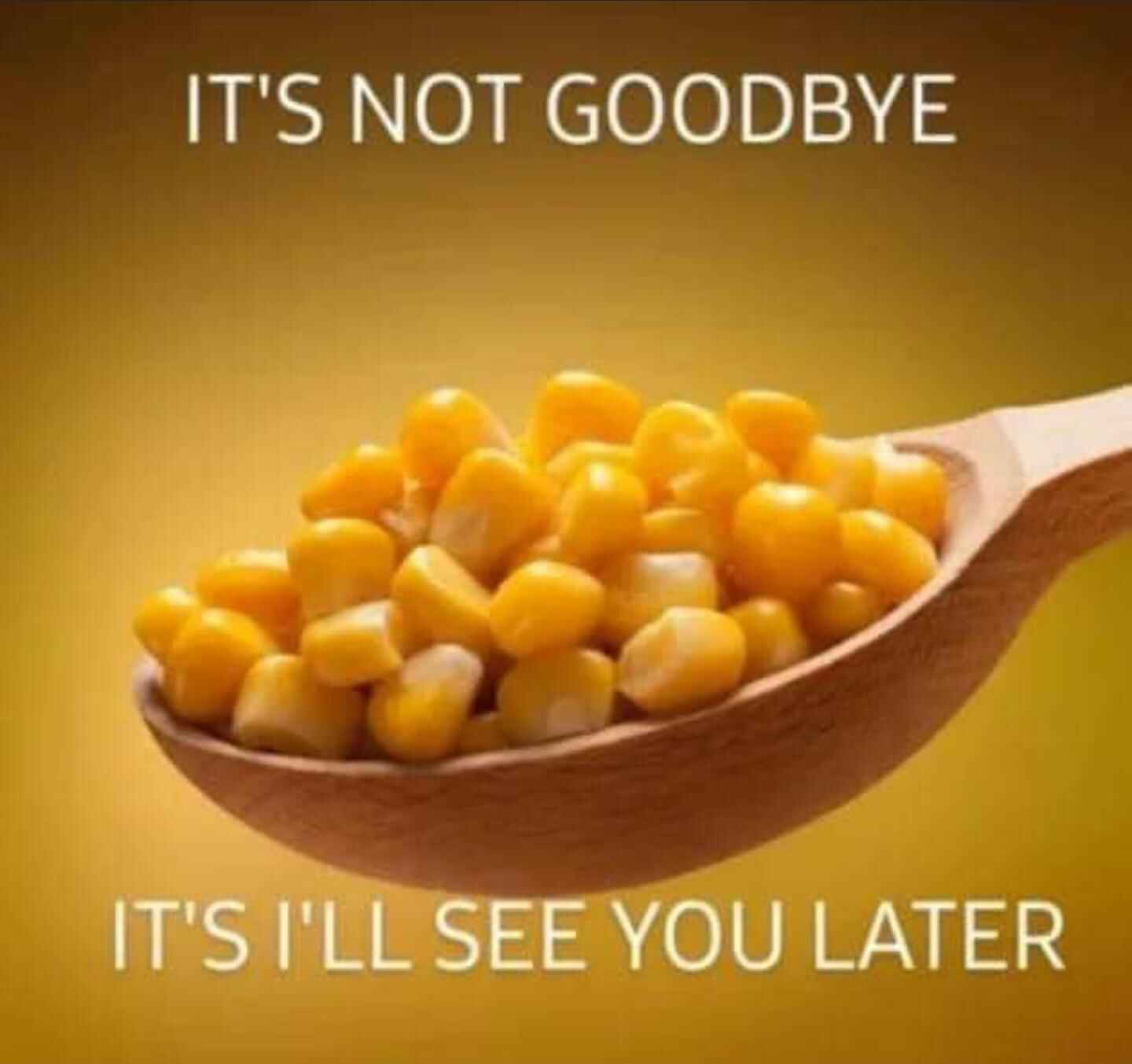 corn.jpg