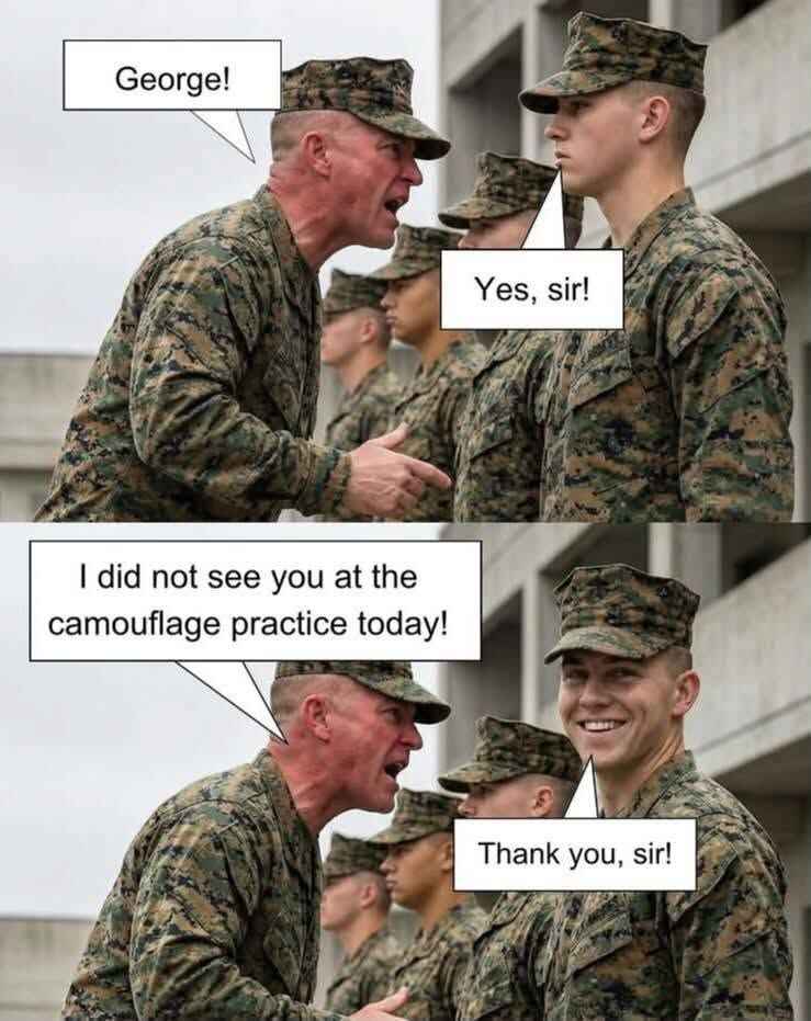 camouflage.jpg