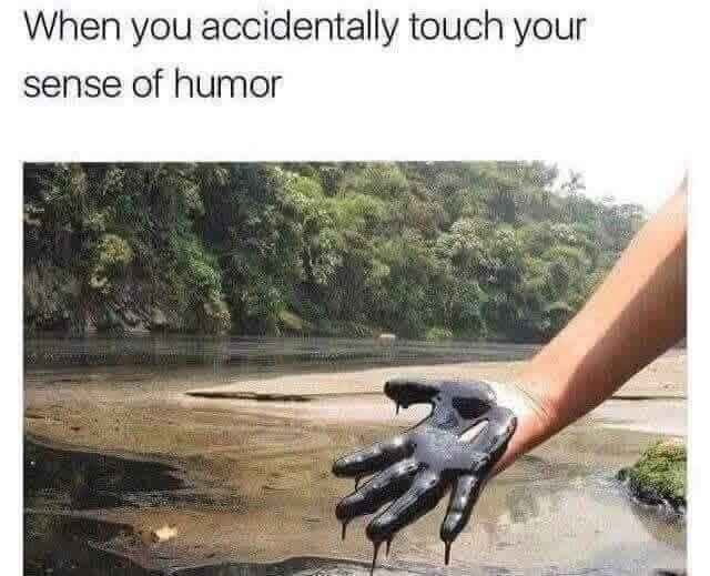 yep.jpg