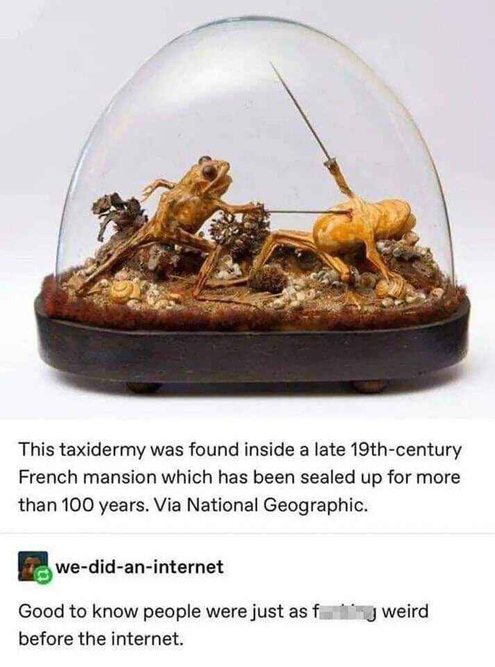 weird.jpg