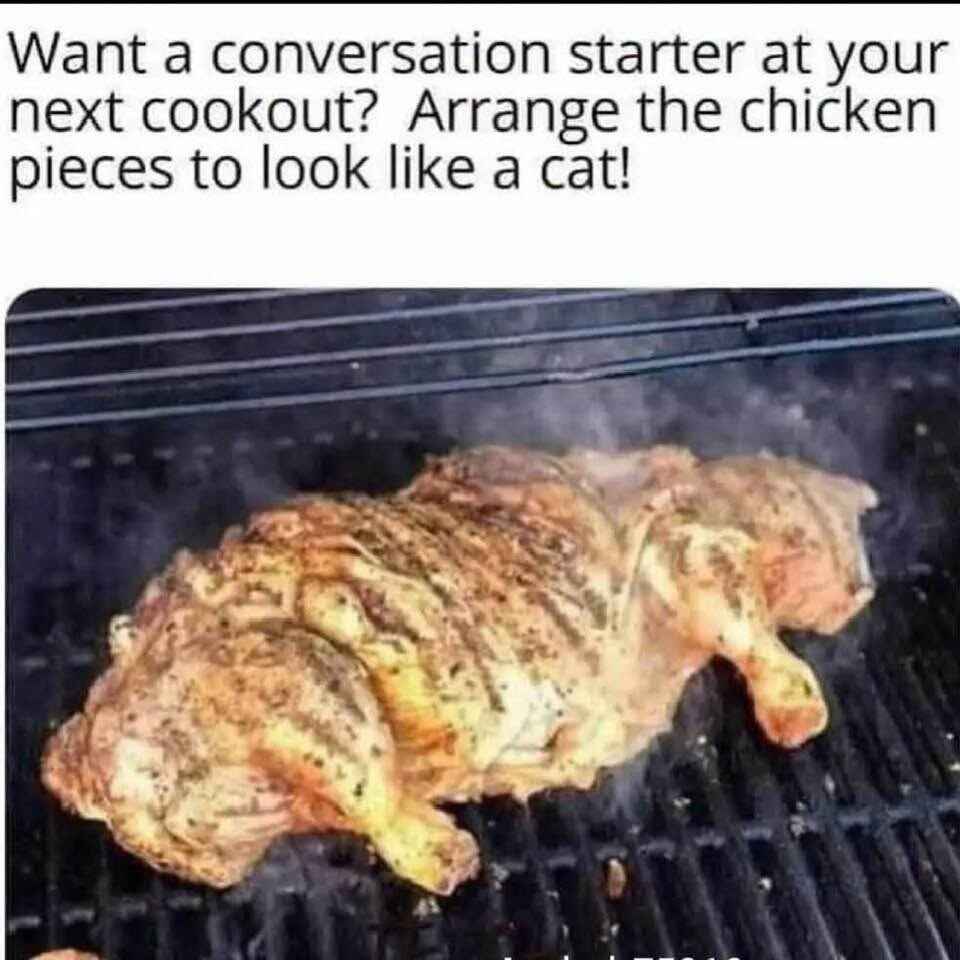 cat.jpg